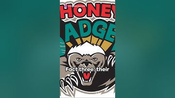 Ai video about honey badgers