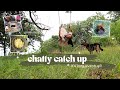 a chatty catch up | vlogging like we're on FaceTime...Vlog 163