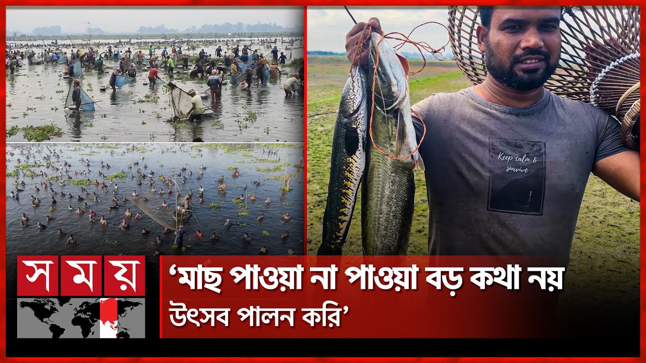 পাবনার রুহুল বিলে শুরু হলো মাসব্যাপী মাছ ধরা বাউত উৎসব | Traditional Fishing Festival | Pabna News