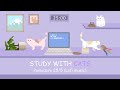 Study with Cats 📚 Pomodoro Timer 25/5 x Animation | For your relaxing study session | Lofi bgm💜