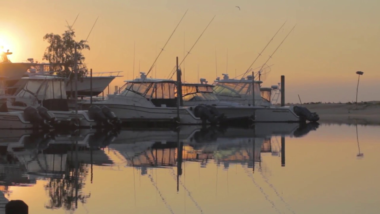 on the waterfront jacket Sight-Casting for Peconic Bay Stripers and Blues | S14 E5