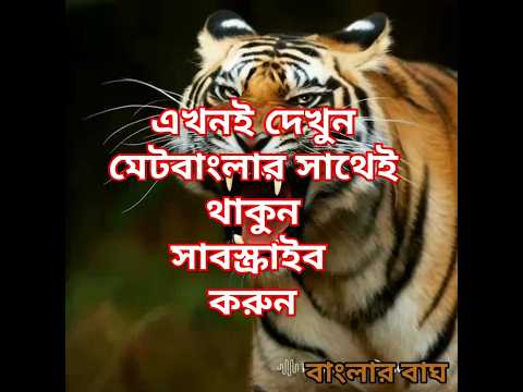 এখনই দেখুন মেটবাংলার সাথেই থাকুন সাবস্ক্রাইব করুন#matebangla #shortvideo #shortsfeed #viralshorts