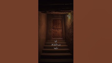 قل لمن ما في السموات والأرض قل لله كتب على نفسه الرحمة | الآية 12 من سورة الأنعام
