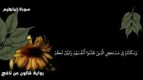 أواخر سورة إبراهيم ، برواية قالون عن نافع،بوجه صلة الميم وقصر المنفصل، عبد المحسن الحجي