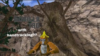 Playing Gorilla Tag With Handtracking!