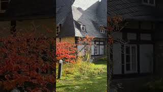 Золотая осень #travel #musikentdecken #music #nature #reiseabenteuer #automobile #видео  #обзор