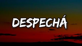 ROSALÍA - DESPECHÁ (Letra_Lyrics)