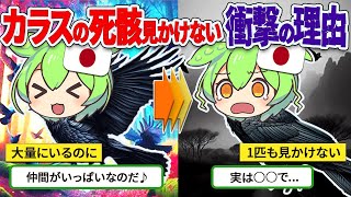 カラスの死骸を見ない衝撃の理由【ずんだもん ゆっくり解説】