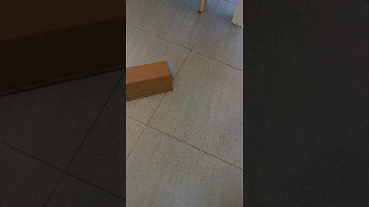 How we feed the dog - chain reaction