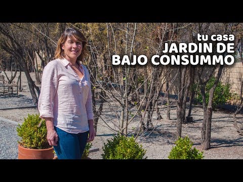 Video: Características De La Jardinería Con Bajo Nivel De Agua