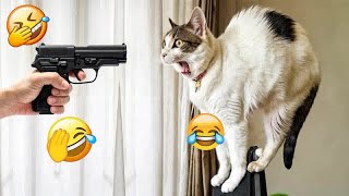 YOU LAUGH YOU LOSE😜Best Funny Animals Video 2024😿🐶