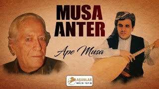 Musa Anter - Ape Musa Resimi