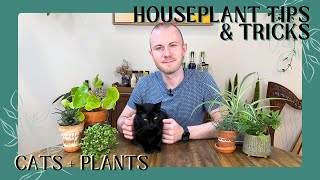 Cats + Plants - How Do I Have A Cat & Hundreds Of Plants? | Houseplant Tips & Tricks Ep. 32