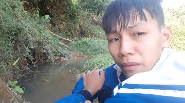 CÂU CÁ CHẼM KHỦNG ( CÁ VƯỢC ) MIỀN TÂY