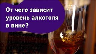 От чего зависит уровень алкоголя в вине? Слабоалкогольное, крепкое и крепленое вино. Спирт в вине.