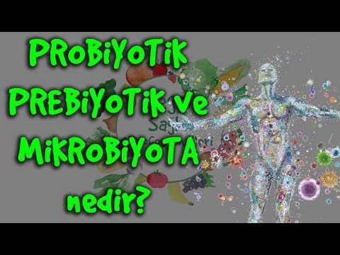 Video: Prebiyotik Va Probiyotik O'rtasidagi Farq Nima? (va Nima Uchun Sizga G'amxo'rlik Qilish Kerak)