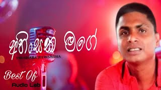 Ahinsaka mage (අහිංසක මගේ ) Thushara Jeewantha Songs | Thushara Jeewantha Best sinhala songs