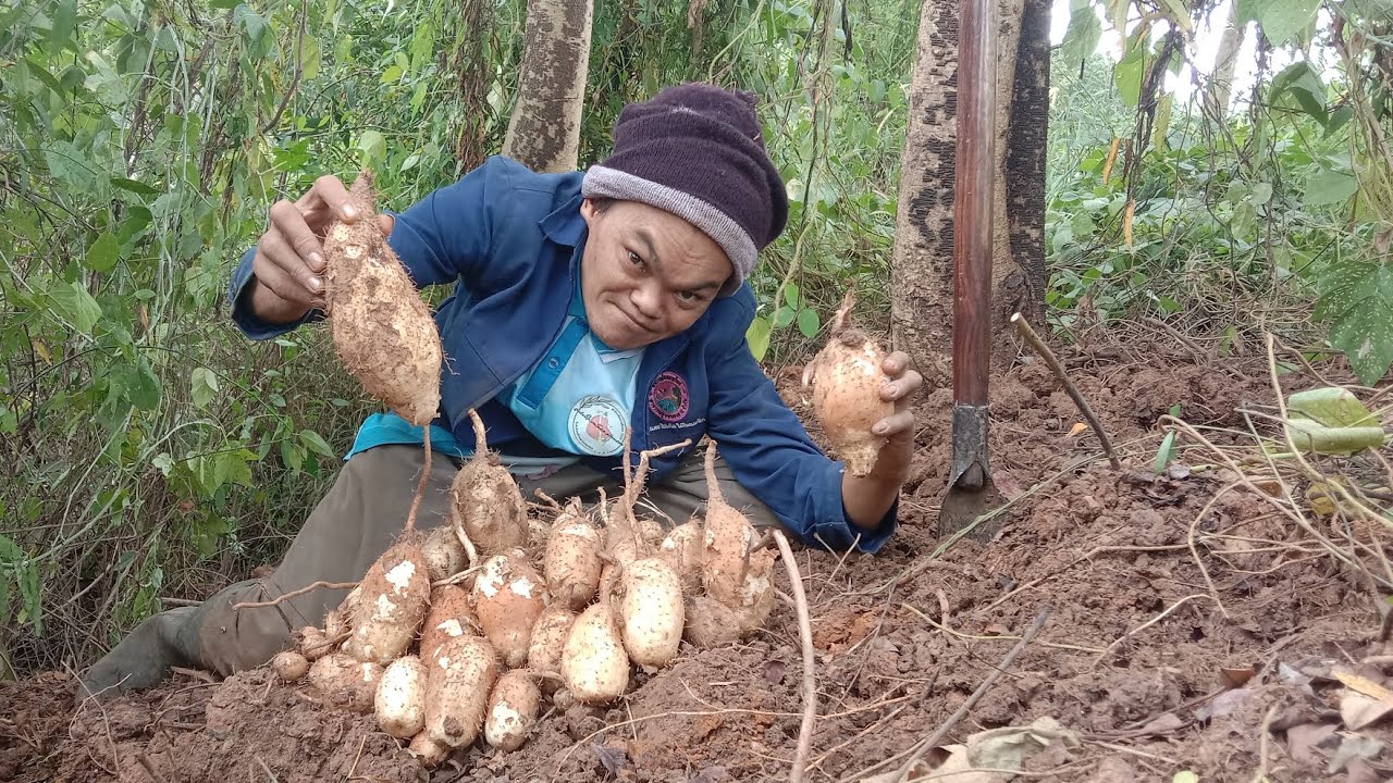 ต้องรีบมาขุดมันแซงหมายนี้ลงหัวดีมาก‼️