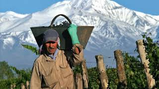 Don Miguel Gascon Wine | Great Budget Wine From Publix