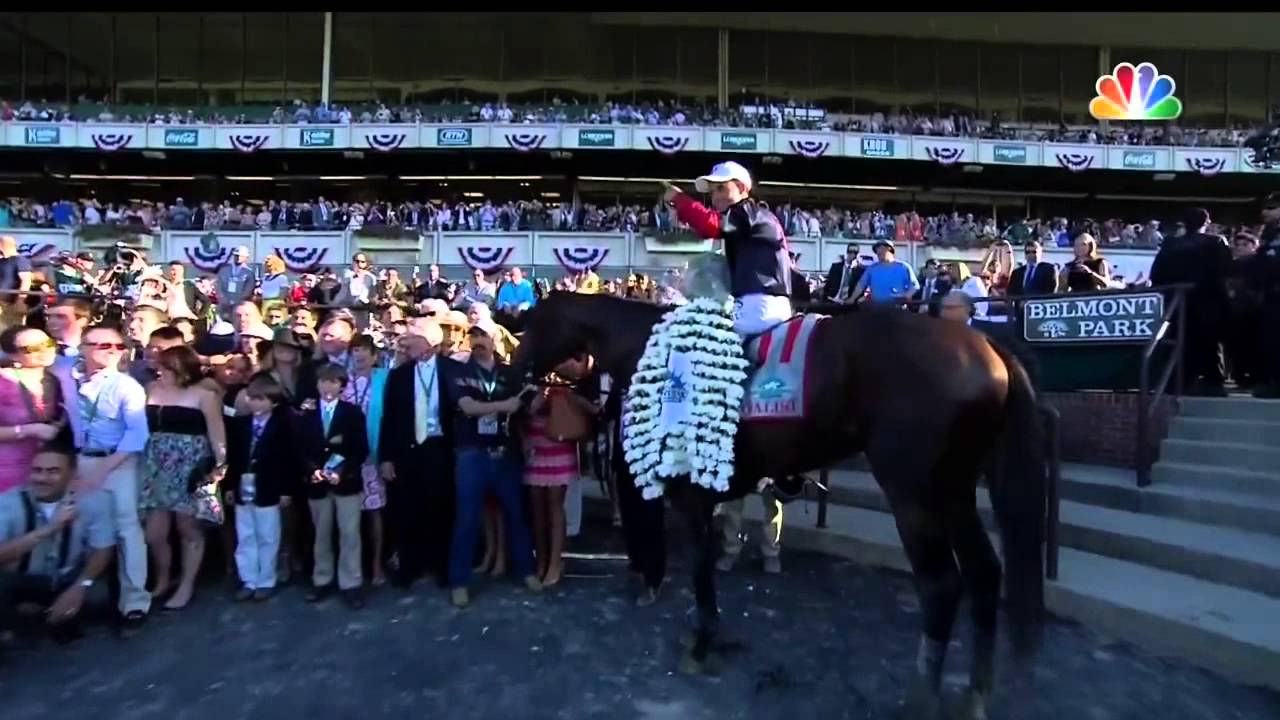 California Chrome owner flips out YouTube
