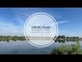 Birding Prado Regional Park
