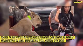 Leashed Lion Cub Riding in Bentley Convertible Draws Police Investigation, Criminal Charges