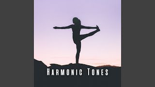 Harmony in Chillout Motion
