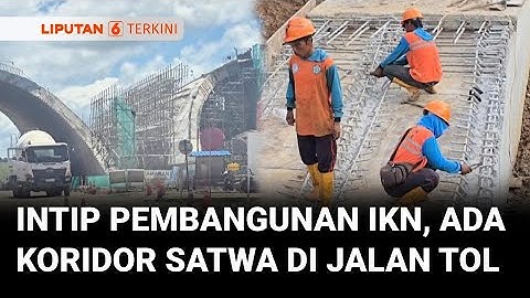 Apa Kabar Pembangunan di IKN? Bakal Ada Koridor Khusus Satwa di Jalan Tol | Liputan 6