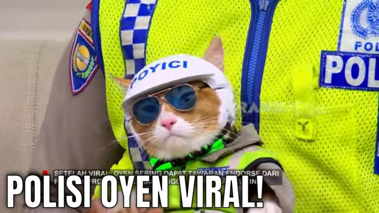 Polisi Viral Bersama Kucing Oyennya Hadir Di FYP! | FYP (08/05/25) Part 4
