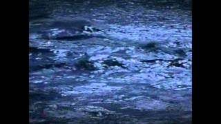 Favorite Blue   solitude