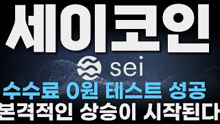 세이코인, 마이크로소프트 애저(Azure)에 병렬처리 기술 독점 도입, 모든 클라우드 서버가 세이 위에서 돌아갑니다.