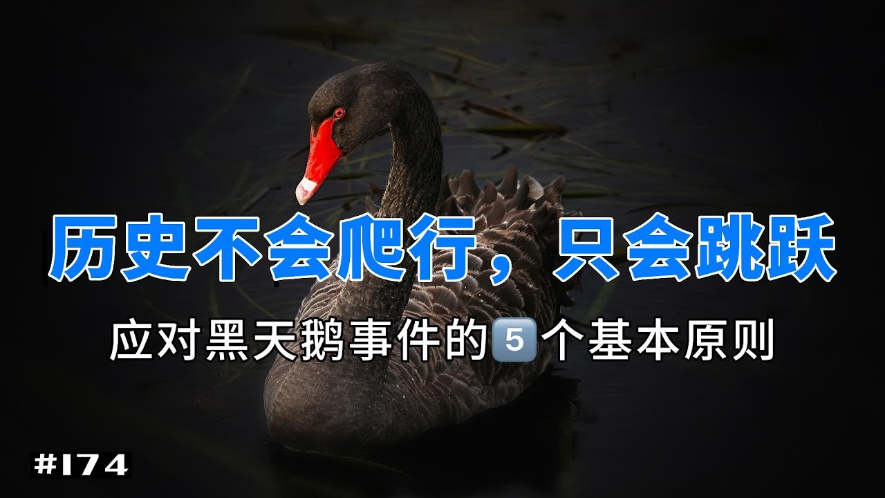 黑天鹅》黑天鹅何时发生根本无法预测，能够预测出来的意外就不是意外。｜ #黑天鹅｜幻灯读书- YouTube
