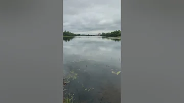 St Louis River in Cloquet MN @YouTube #minnesota #water #nature #river