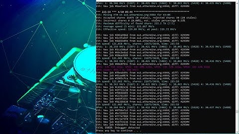 FATAL ERROR : Debugger Detected (Phoenix Miner)