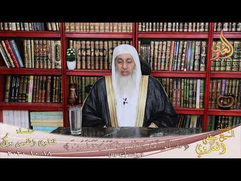 تفسير ولا تلقوا بأيديكم الى التهلكه الشيخ مصطفي العدوي