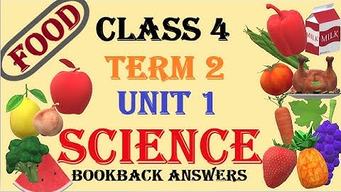 4th std Science term 2 unit 1 Food bookback answers | TN Samacheer kalvi |  Chocobar Solutions