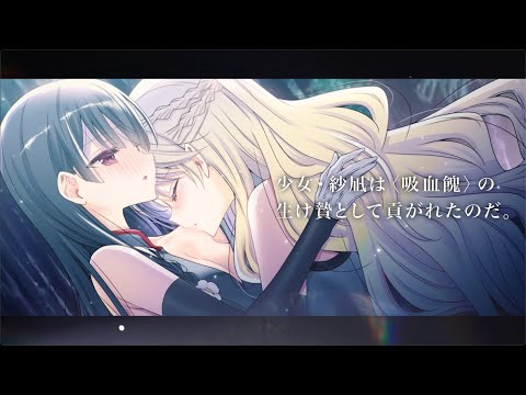 Anteprima video