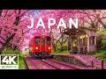 Japan 2026 – Spring Flowers 4K 🌸 Floral Wonderland, Cherry Blossoms and Peaceful Morning | 4K UHD