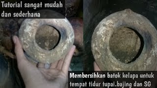 Tutorial Cara Membersihkan Batok Kelapa Untuk Sarang Tupai Dengan Cepat Dan Sederhana