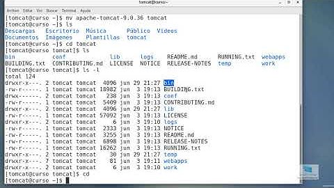 Curso Tomcat 11- Instalar tomcat linux