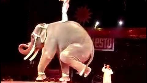 C:\Documents and Settings\Administrator\My Documents\Downloads\Video\Facebook (1).mp4