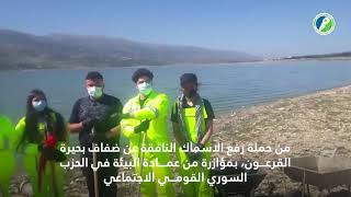 حملة رفع الاسماك النافقة عن ضفاف بحيرة القرعون