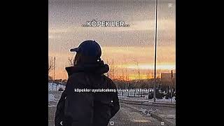 Alınmayin Bizim Okuldaki Iklima