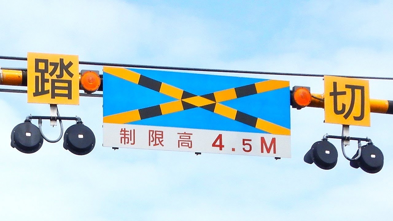 踏切】JR東海道本線 大きな警標と後ろ向きの警報灯がある門型踏切