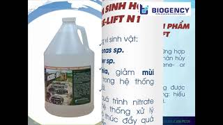 Ứng Dụng Microbelift Xử Lý Nước Thải Sinh Hoạt Tại Tòa Nhà Etown Cộng Hòa