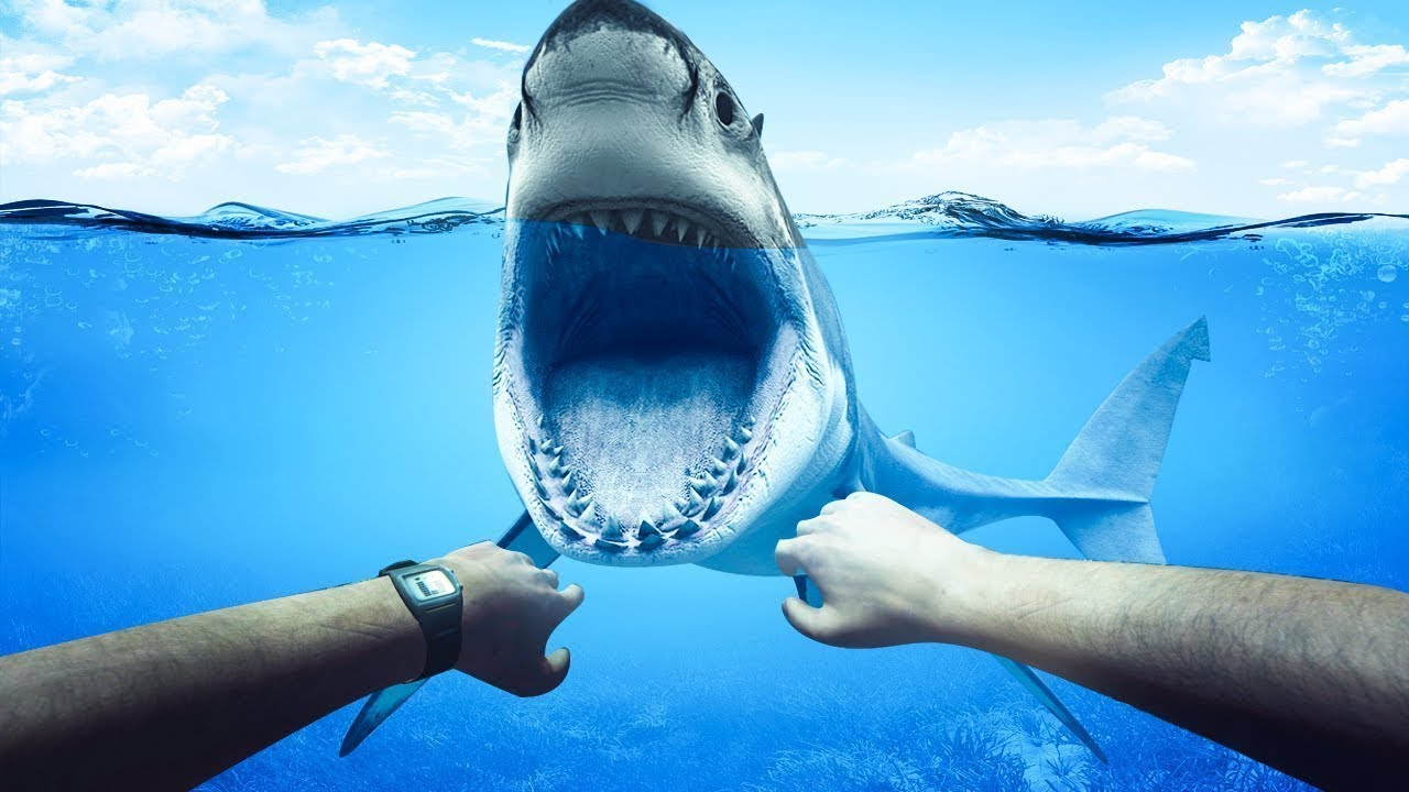 بث مباشر 🔴🔥 Stranded Deep - zakfloyd