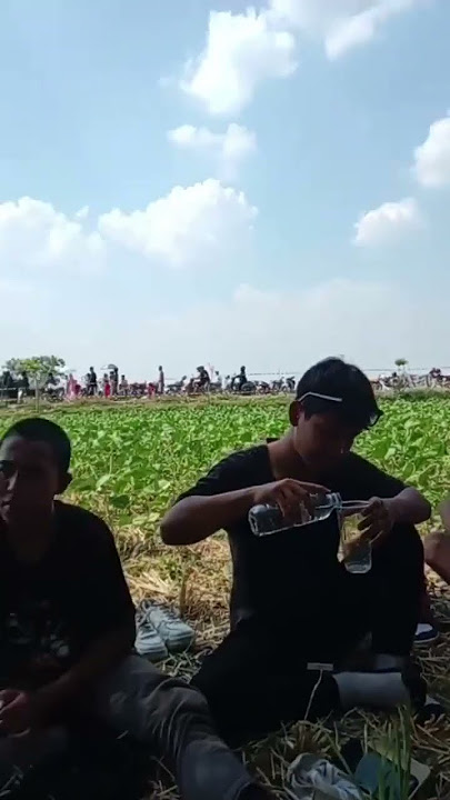 bahan sw mu bolo #story #videoshort #anakpunk #storywa