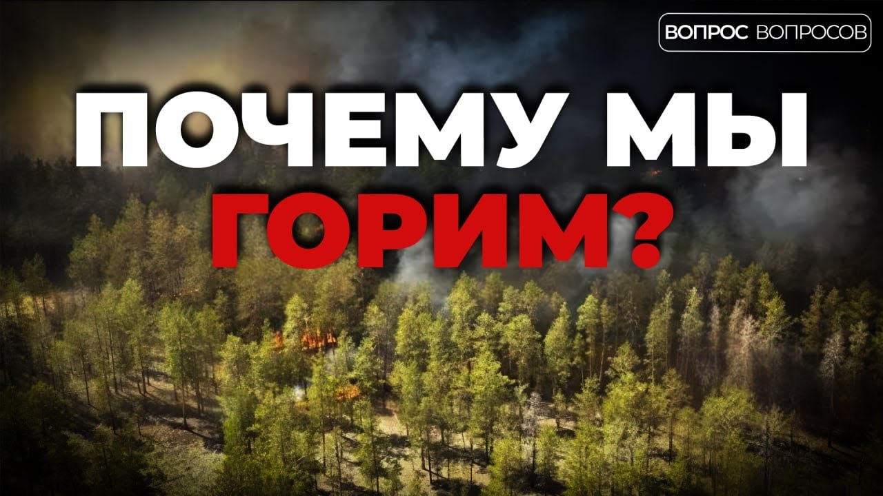 Кто виноват дтп в казахстане Кто виноват дтп в казахстане
