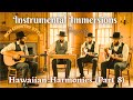 Hawaiian Harmonies Part 8 Instrumental Immersions Tranquil Country Pedal Steel Guitars Hawaiian Harmonies Part 8 Instrumental Immersions Tranquil Country Pedal Steel Guitars