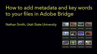 Adding Key Words and Metadata in Adobe Bridge CC
